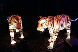Tiger Silk Lantern Set