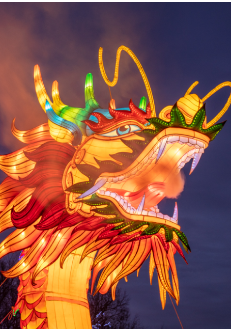 Chinese Dragon Mascot