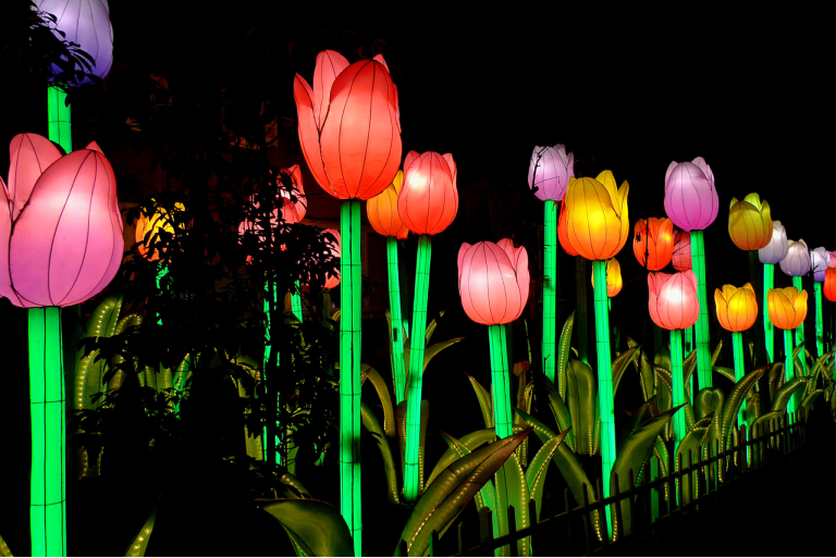 Tulip Flower Lights
