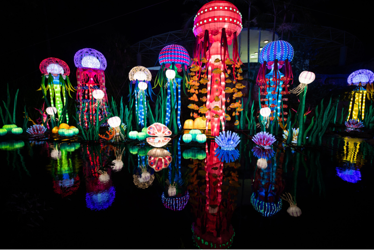 Jellyfish Lanterns
