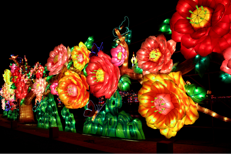 Flower Lanterns