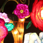 Botanical Lanterns 5