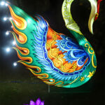 Fine Art Lanterns 3