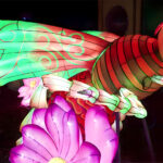 Insect Lanterns 2