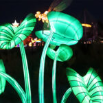 Insect Lanterns 3